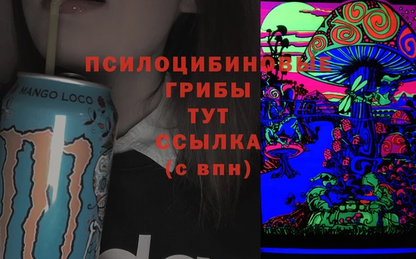 спайс Надым