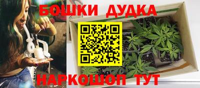 PSILOCYBIN Берёзовский