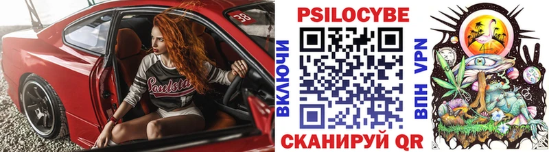 Псилоцибиновые грибы Magic Shrooms  Курчатов 