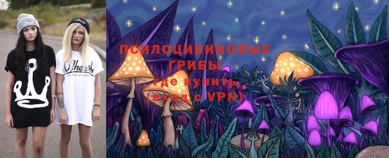 Галлюциногенные грибы Psilocybine cubensis  купить  сайты  Курчатов 