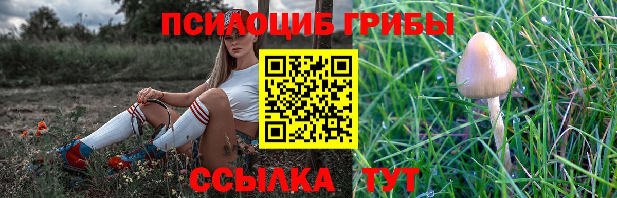 Галлюциногенные грибы GOLDEN TEACHER  купить  цена  Курчатов  Вход с VPN 