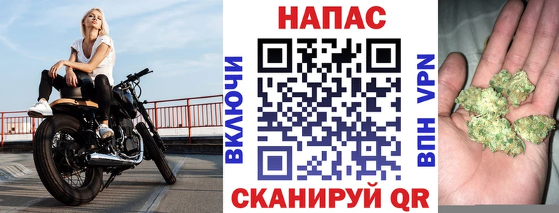 Бошки марихуана ГИДРОПОН Курчатов